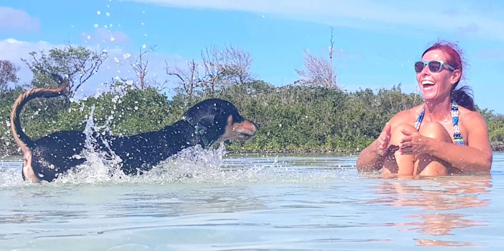 A dog and woman playing in shallow water